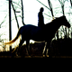 Image for article titled Shooting Challenge: Golden Hour Gallery 2